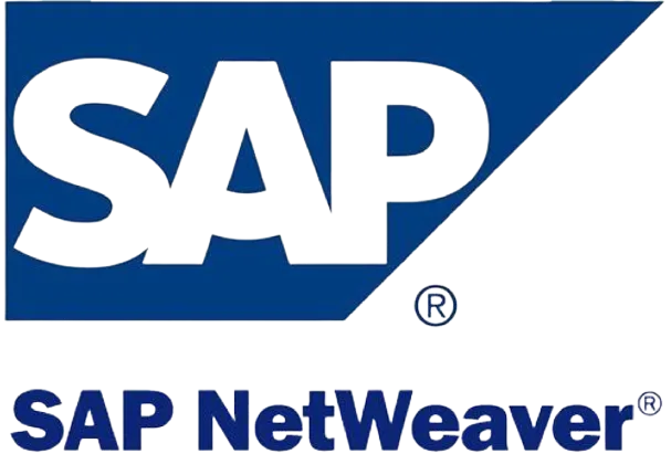 sap netweaver SSO