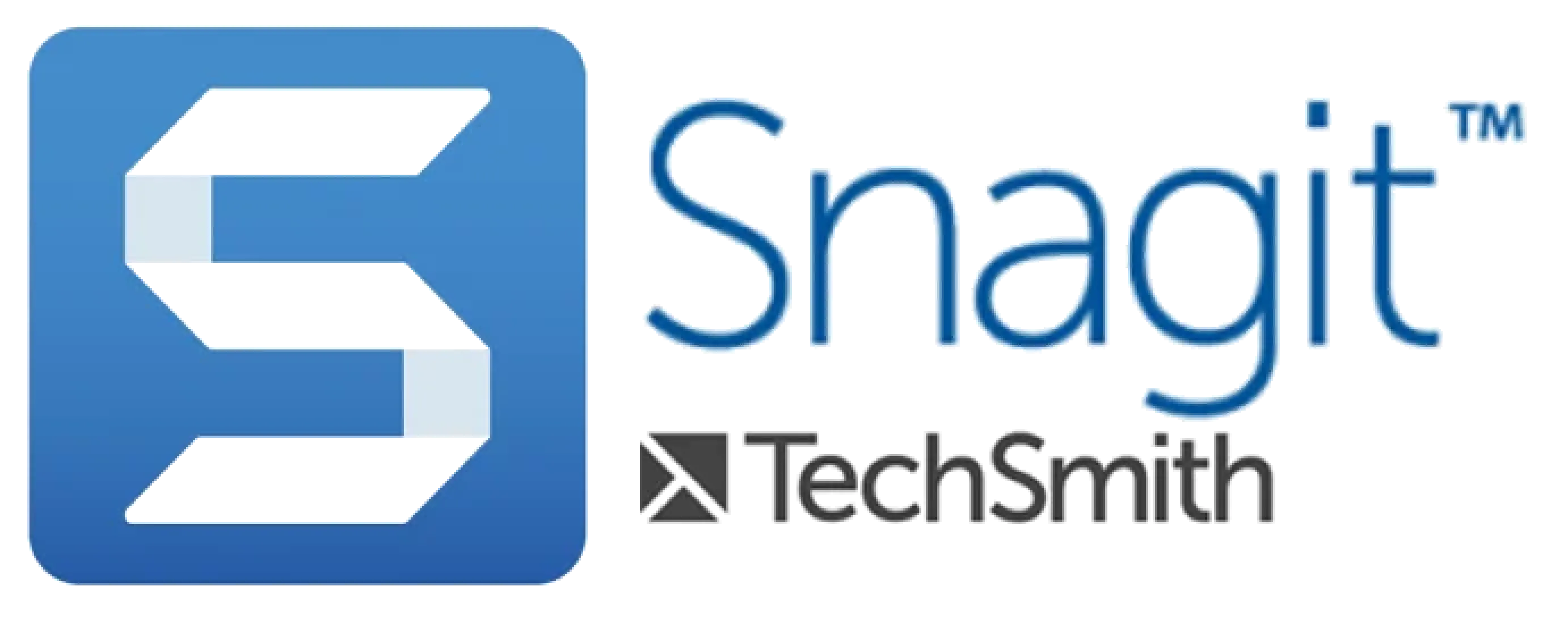 snagit sso